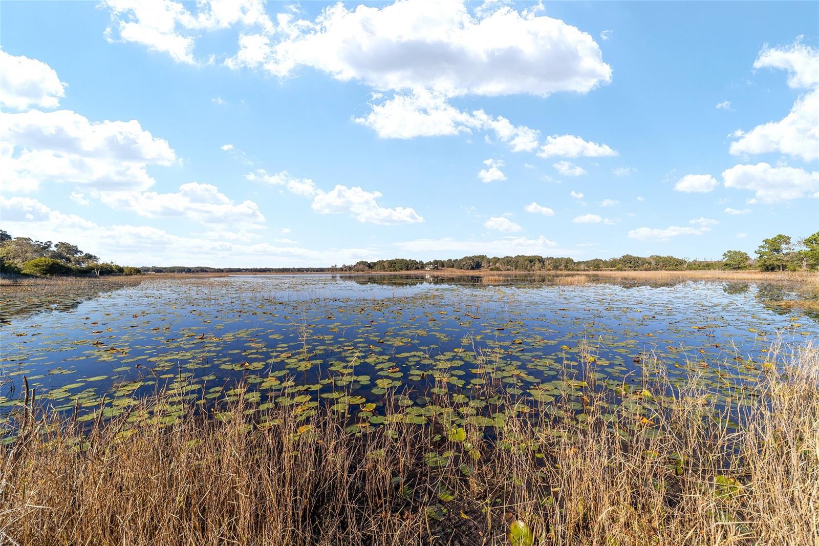 Image 3 of 5 For 11592 Se 101st Court Rd