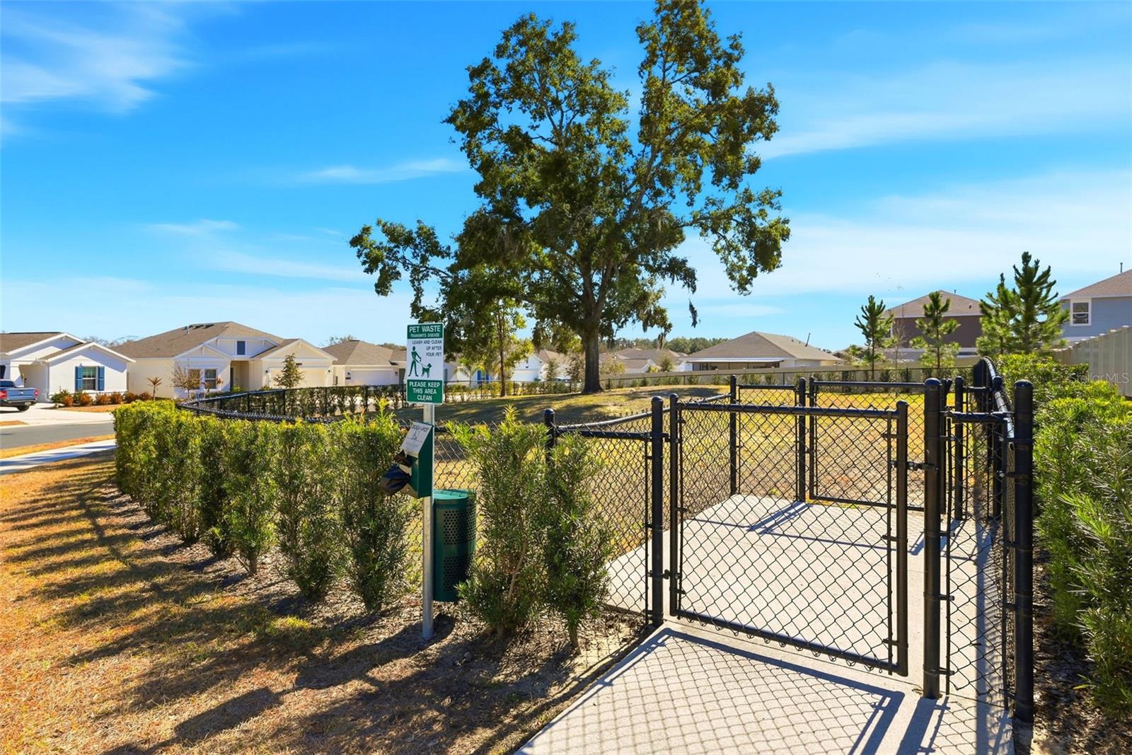 Image 39 of 42 For 5539 Braken Fern Way