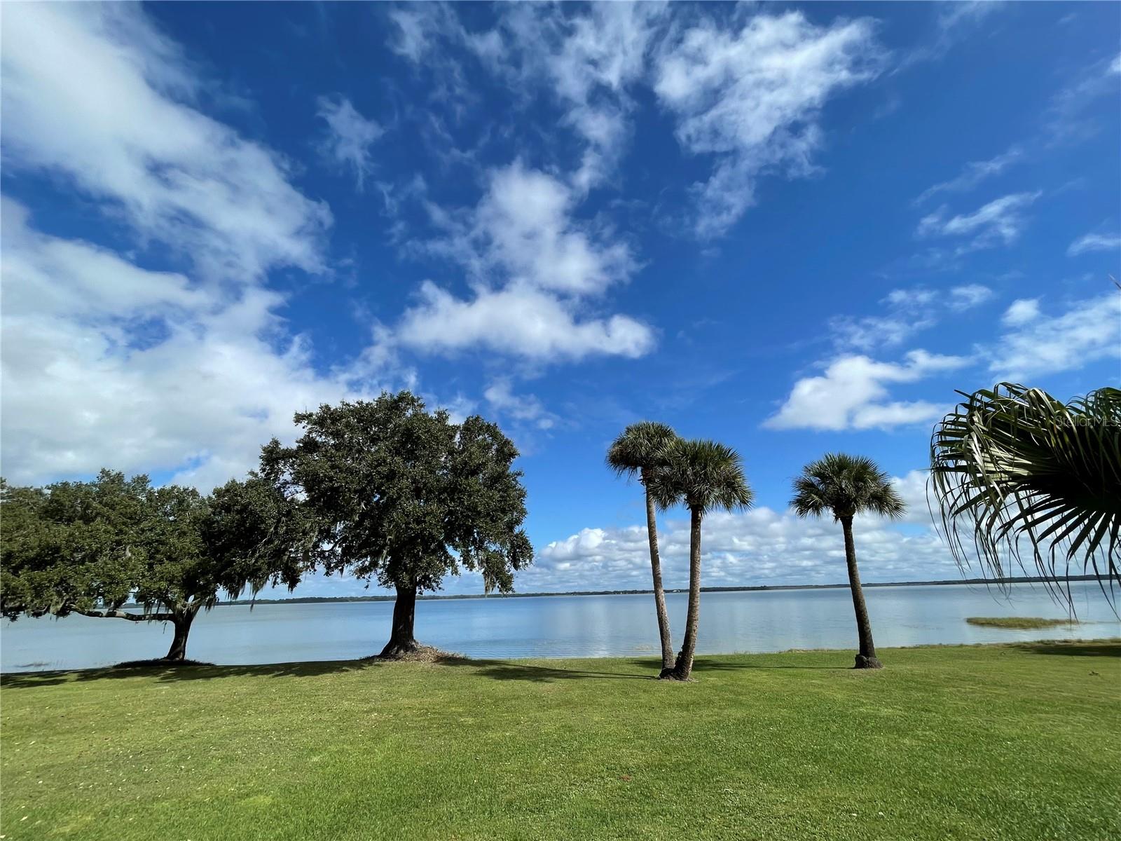 Image 2 of 60 For 38230 Yale Circle