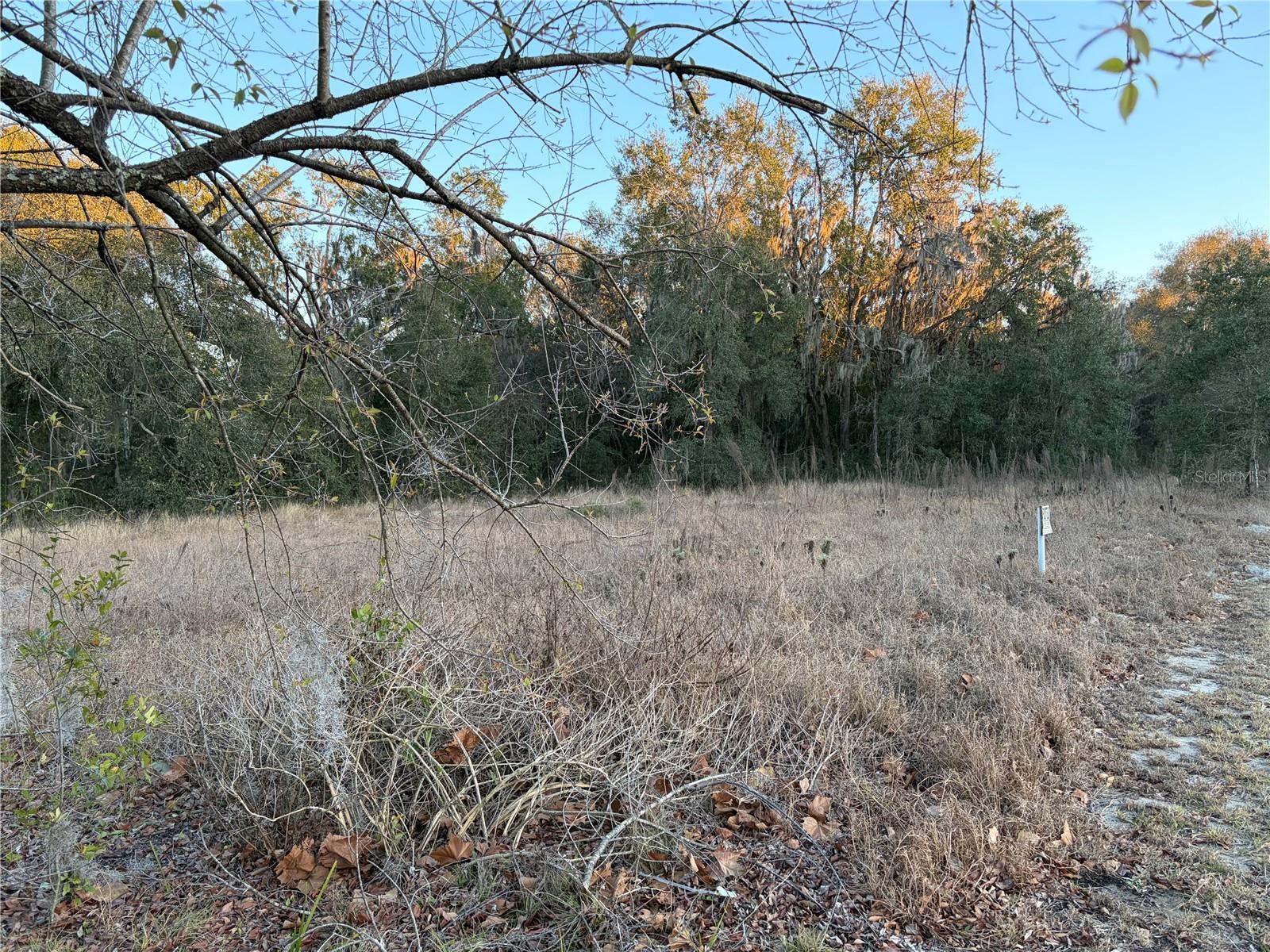 Details for 13434 Maryland Avenue, ASTATULA, FL 34705