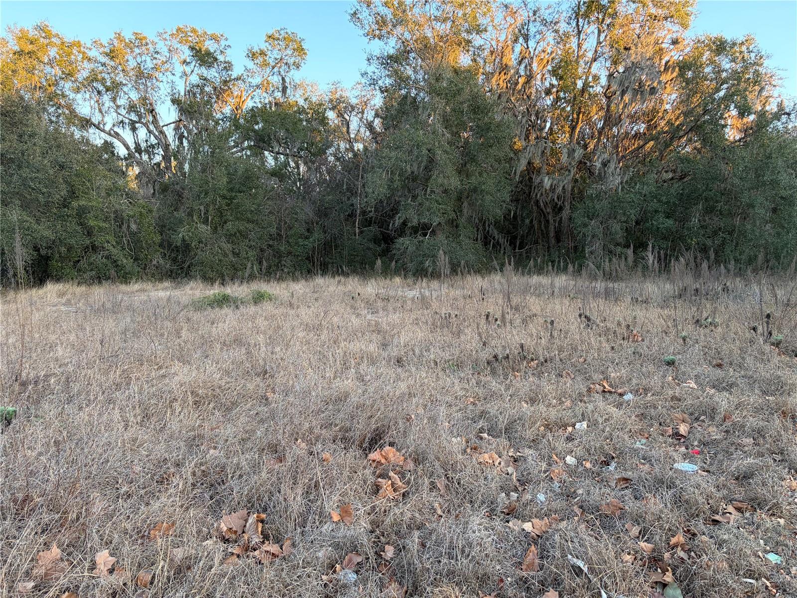 Image 2 of 6 For 13434 Maryland Avenue