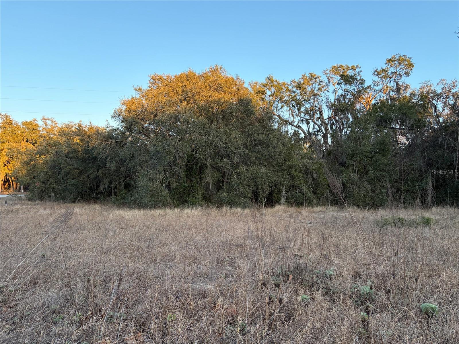 Image 4 of 6 For 13434 Maryland Avenue