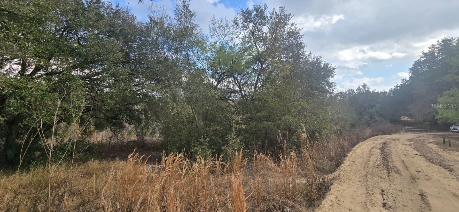 Details for 252nd Ave , UMATILLA, FL 32784