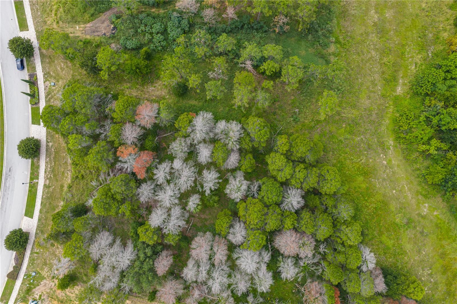 Image 4 of 18 For 16409 Pendio Drive