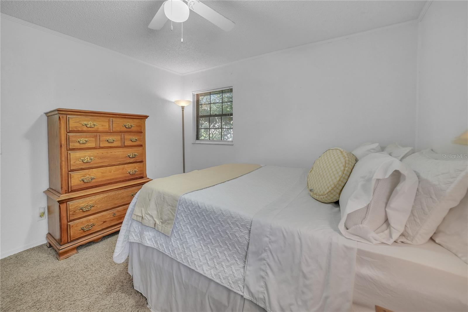 Image 36 of 57 For 10311 County Road 117