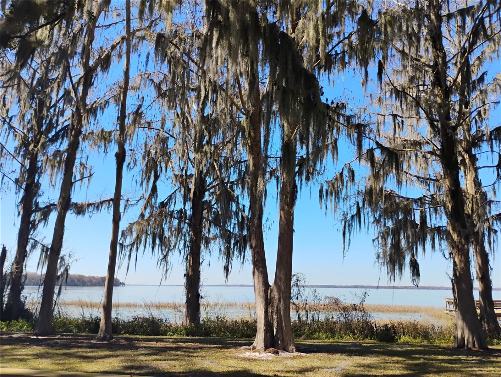 Image 3 of 13 For 31035 Cove Road