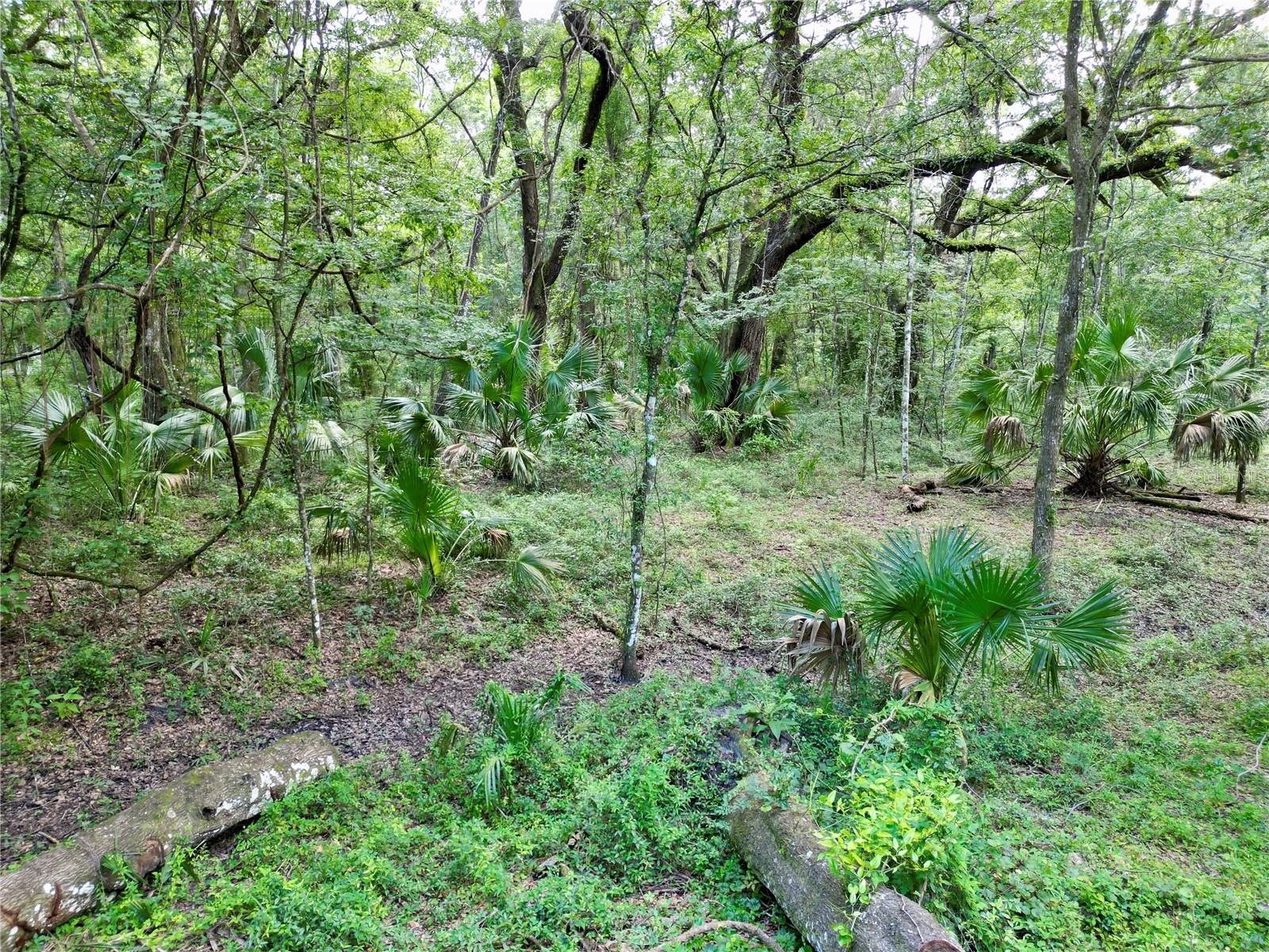 Image 11 of 15 For Tbd 31st Way Way