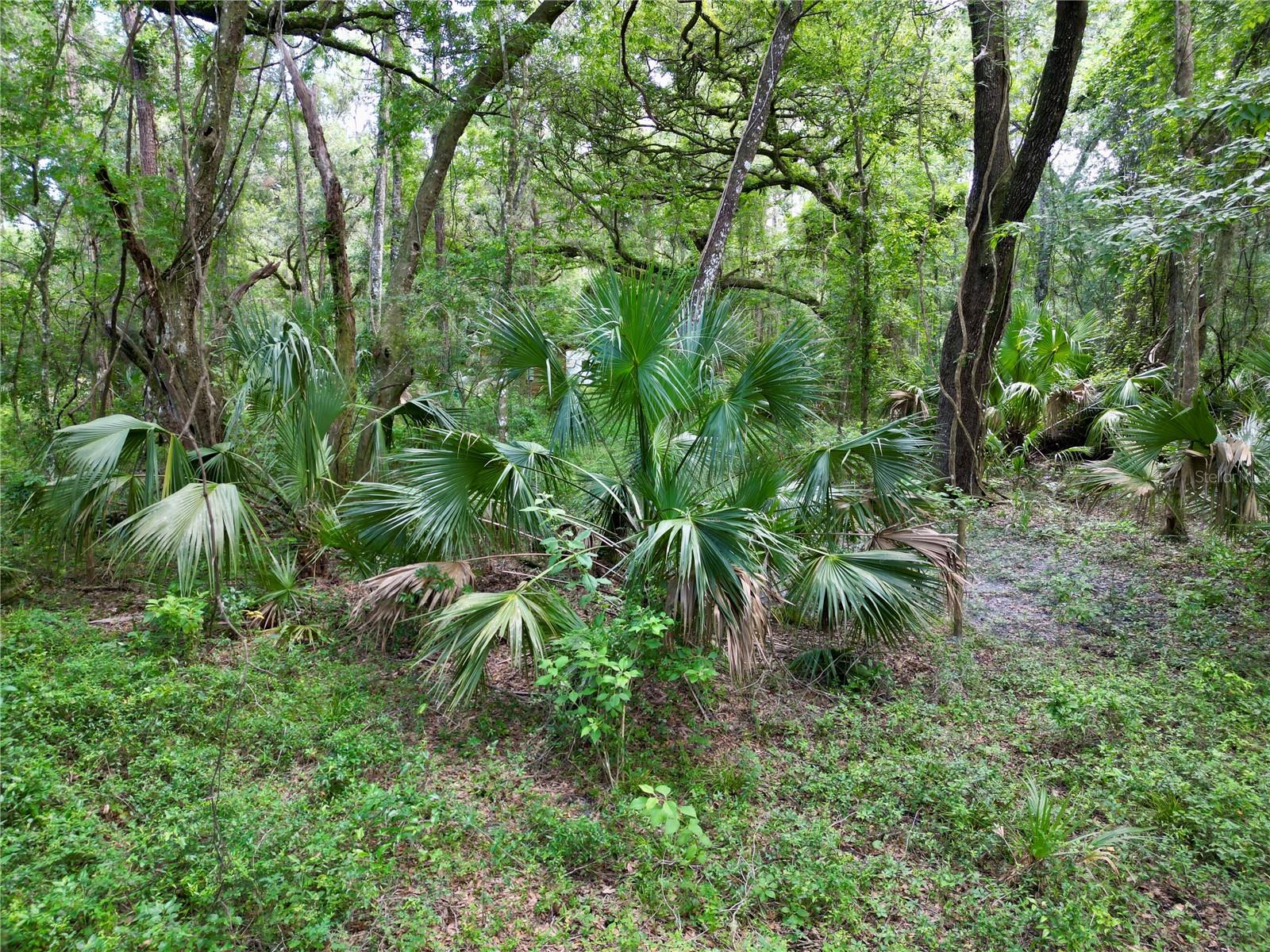 Image 12 of 15 For Tbd 31st Way Way