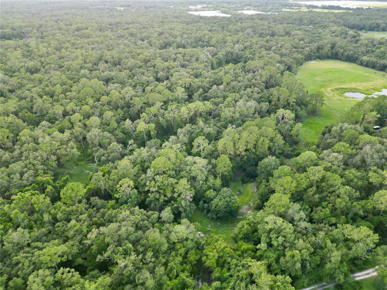 Image 3 of 15 For Tbd 31st Way Way