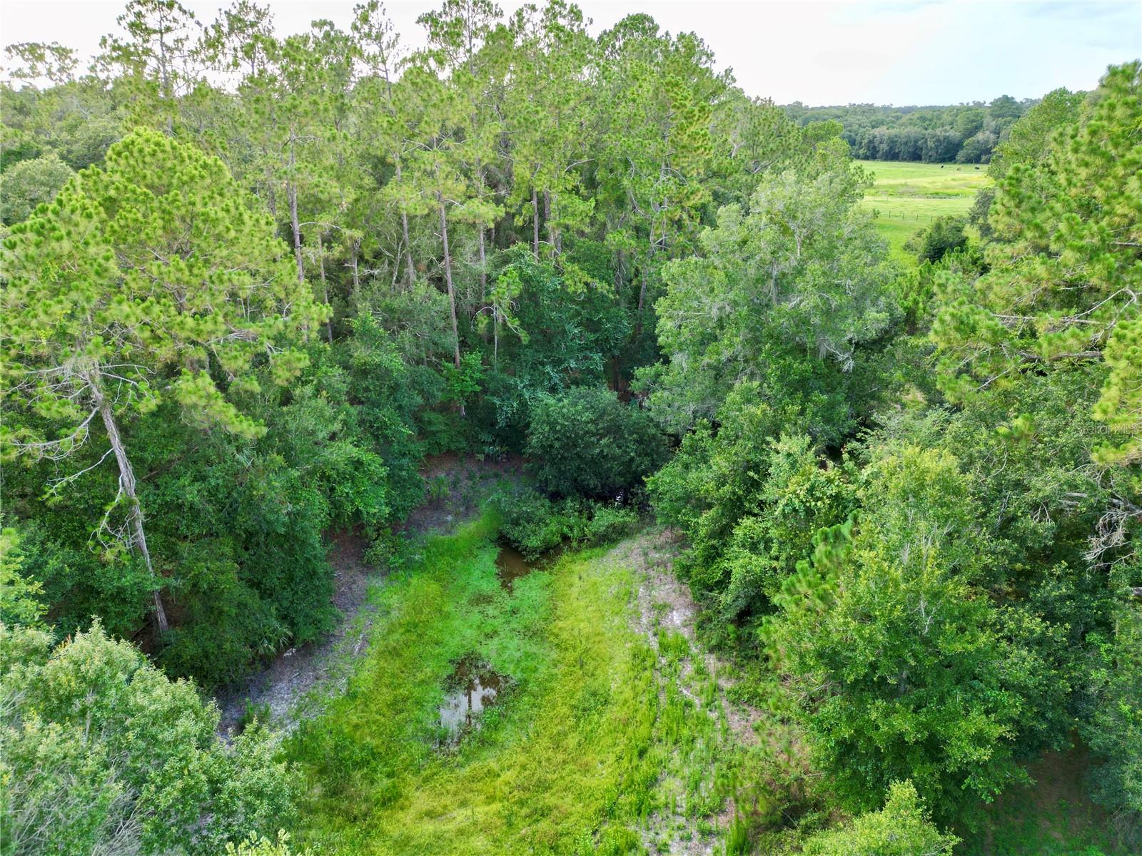 Image 4 of 15 For Tbd 31st Way Way