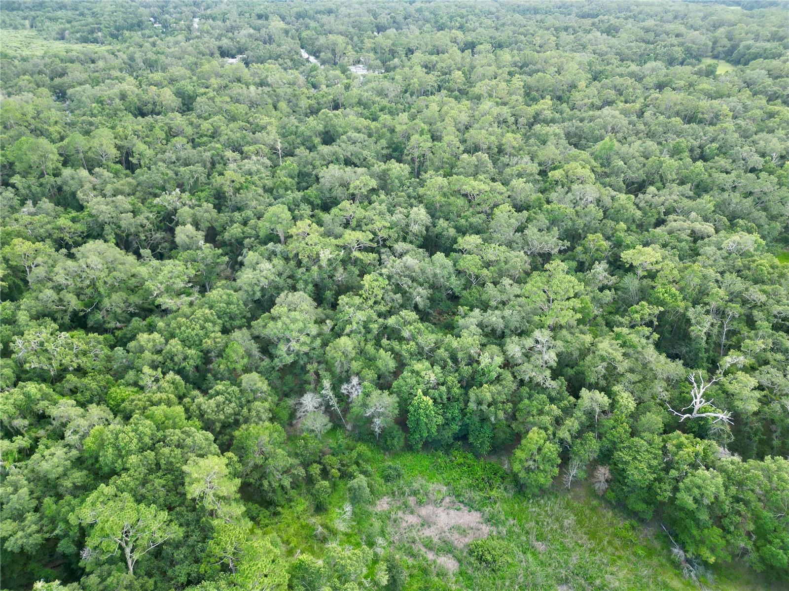 Image 7 of 15 For Tbd 31st Way Way