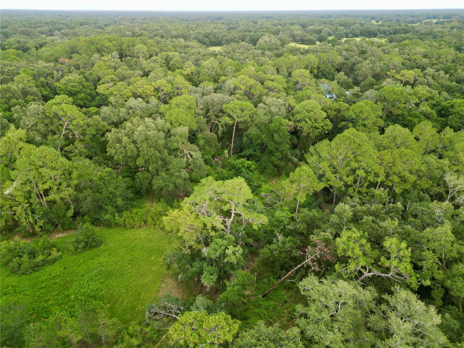 Image 8 of 15 For Tbd 31st Way Way