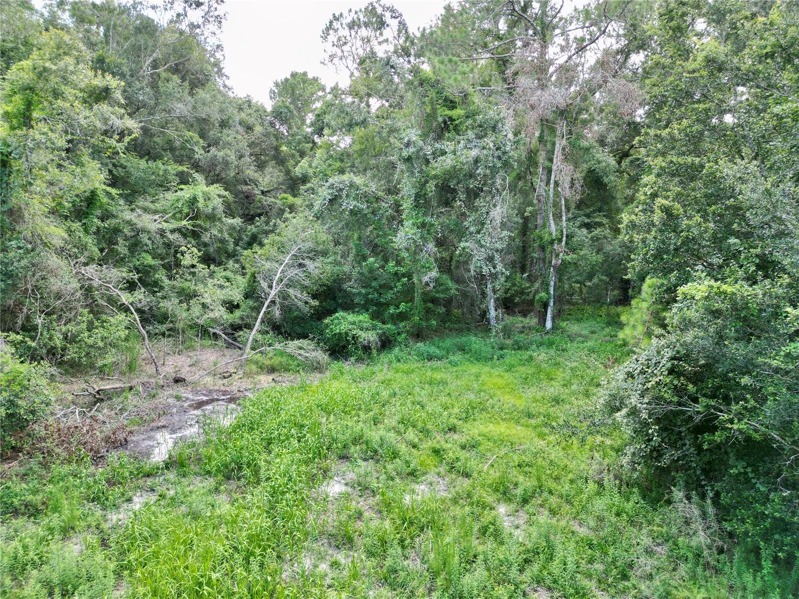 Image 9 of 15 For Tbd 31st Way Way