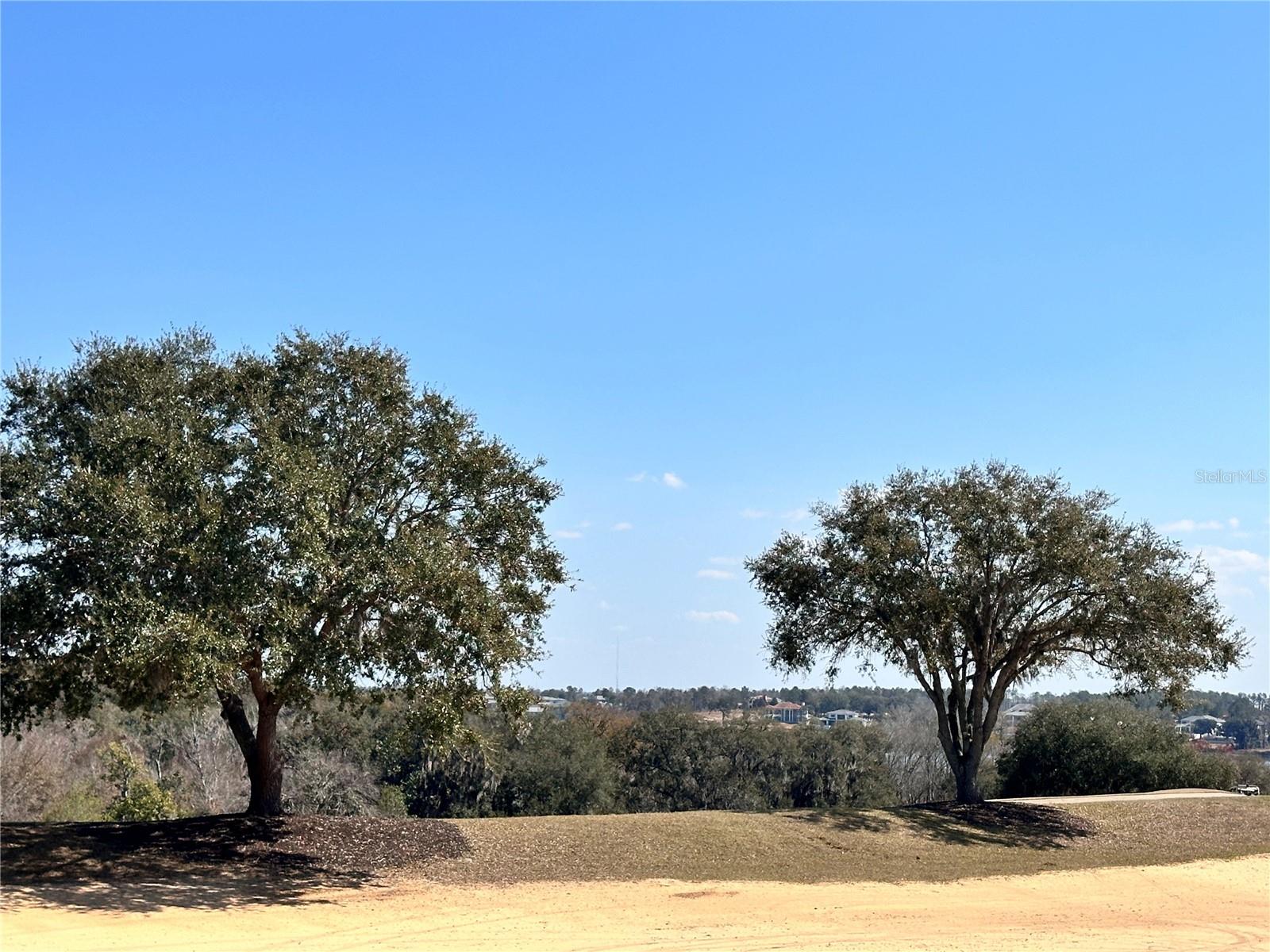 Details for 16822 Artimino Loop, BELLA COLLINA, FL 34756