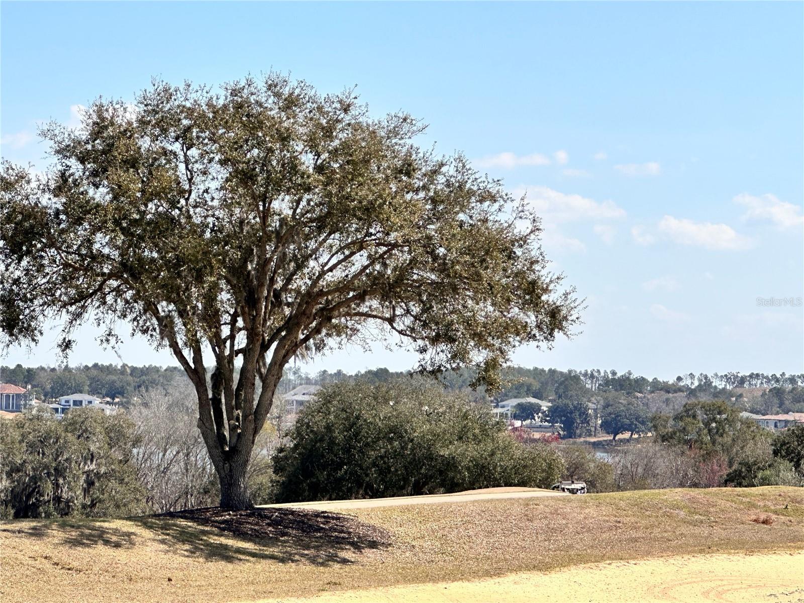 Image 3 of 16 For 16822 Artimino Loop