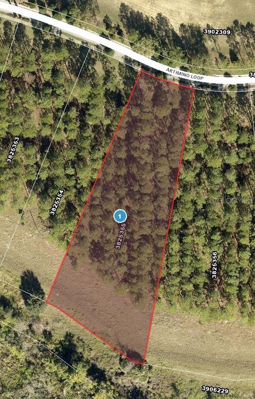 Image 4 of 16 For 16822 Artimino Loop