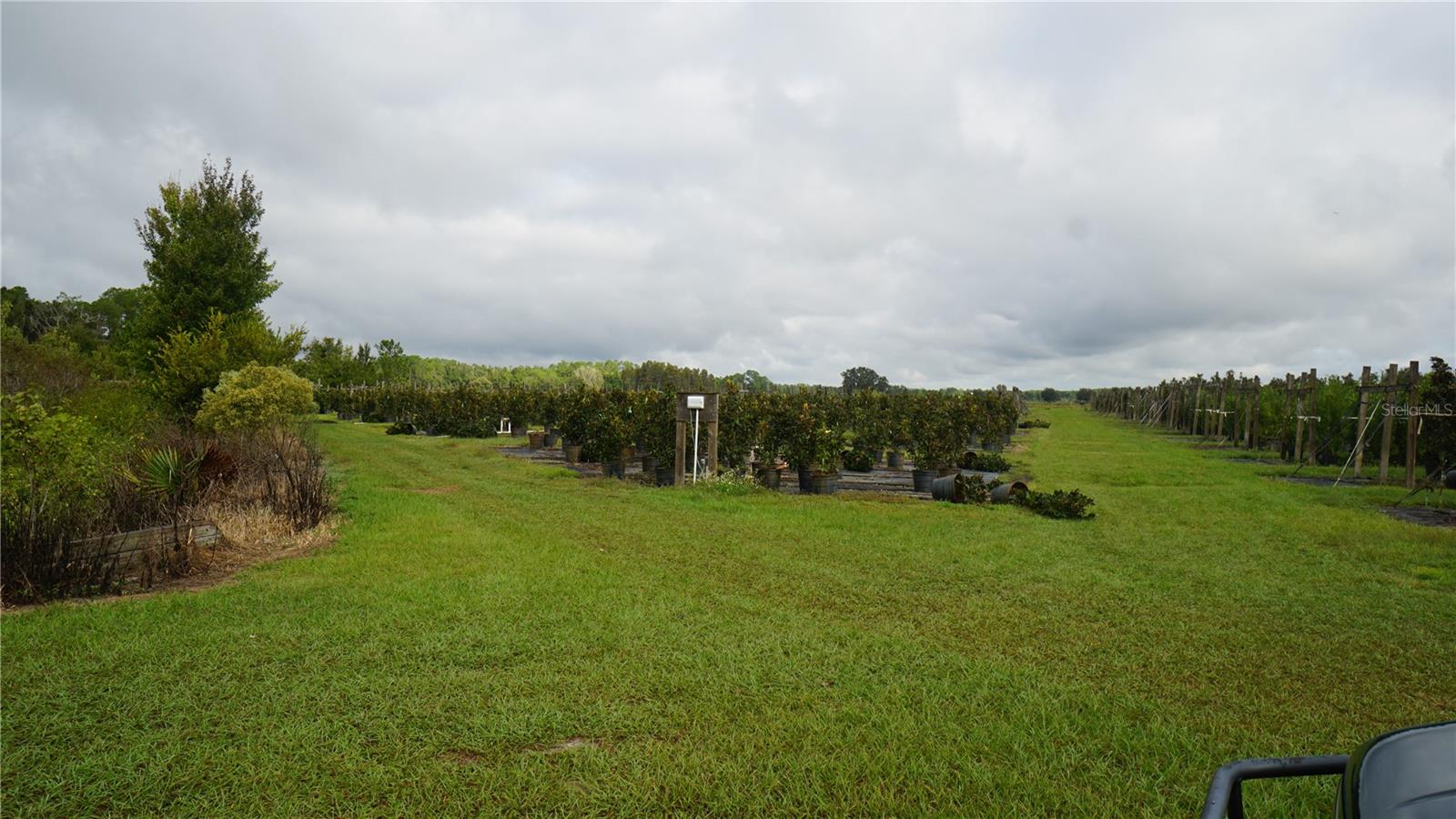 Image 11 of 20 For Douglas Road