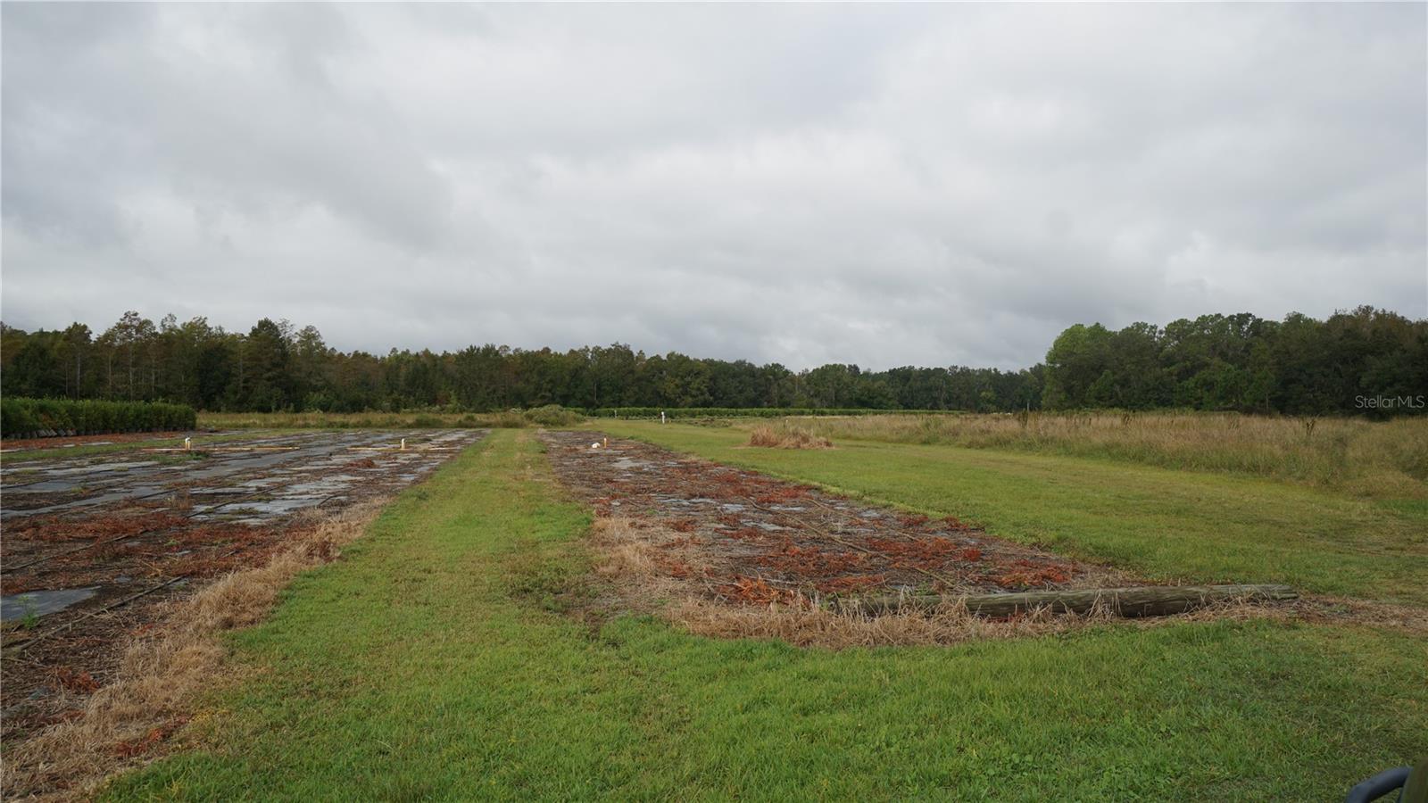 Image 17 of 20 For Douglas Road