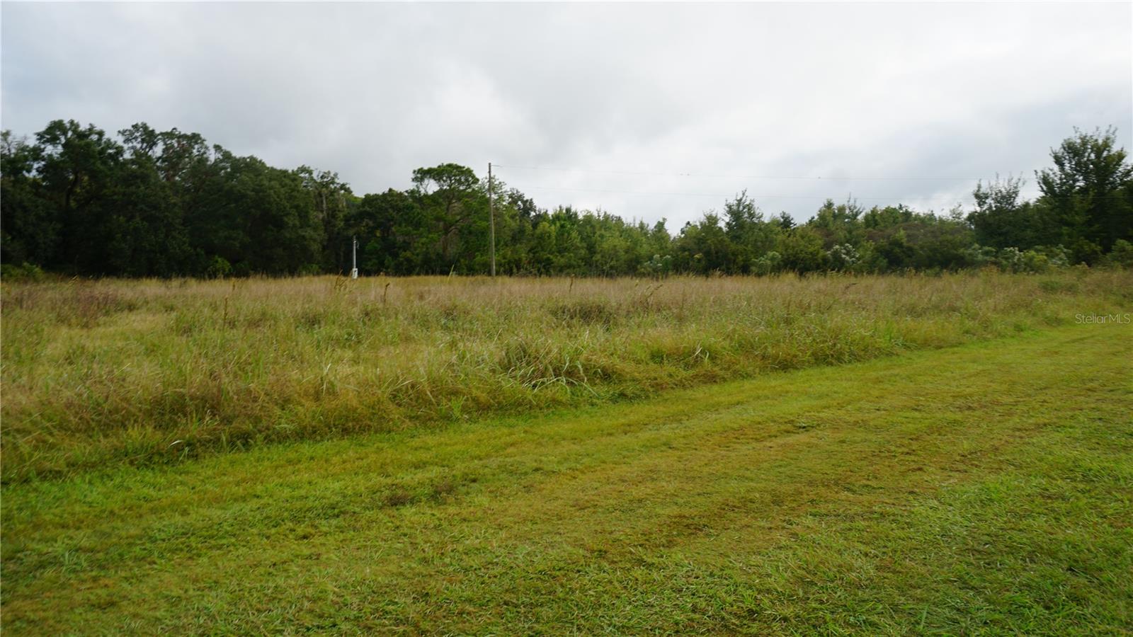 Image 18 of 20 For Douglas Road