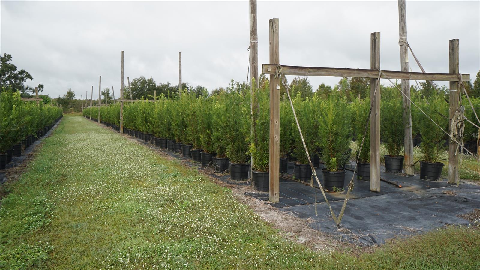 Image 3 of 20 For Douglas Road