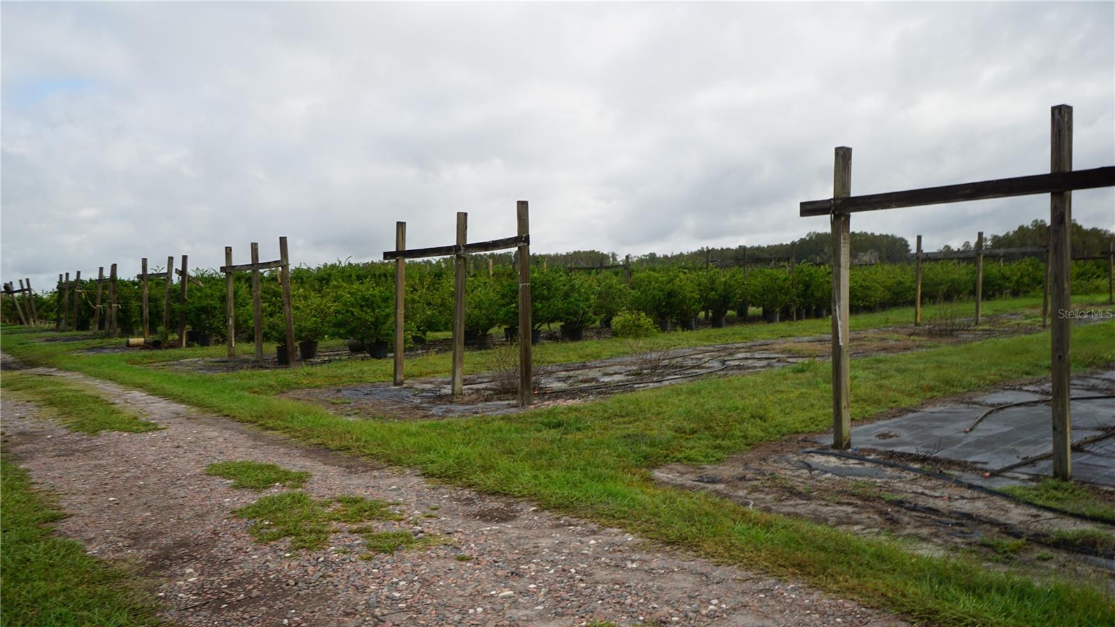 Image 5 of 20 For Douglas Road