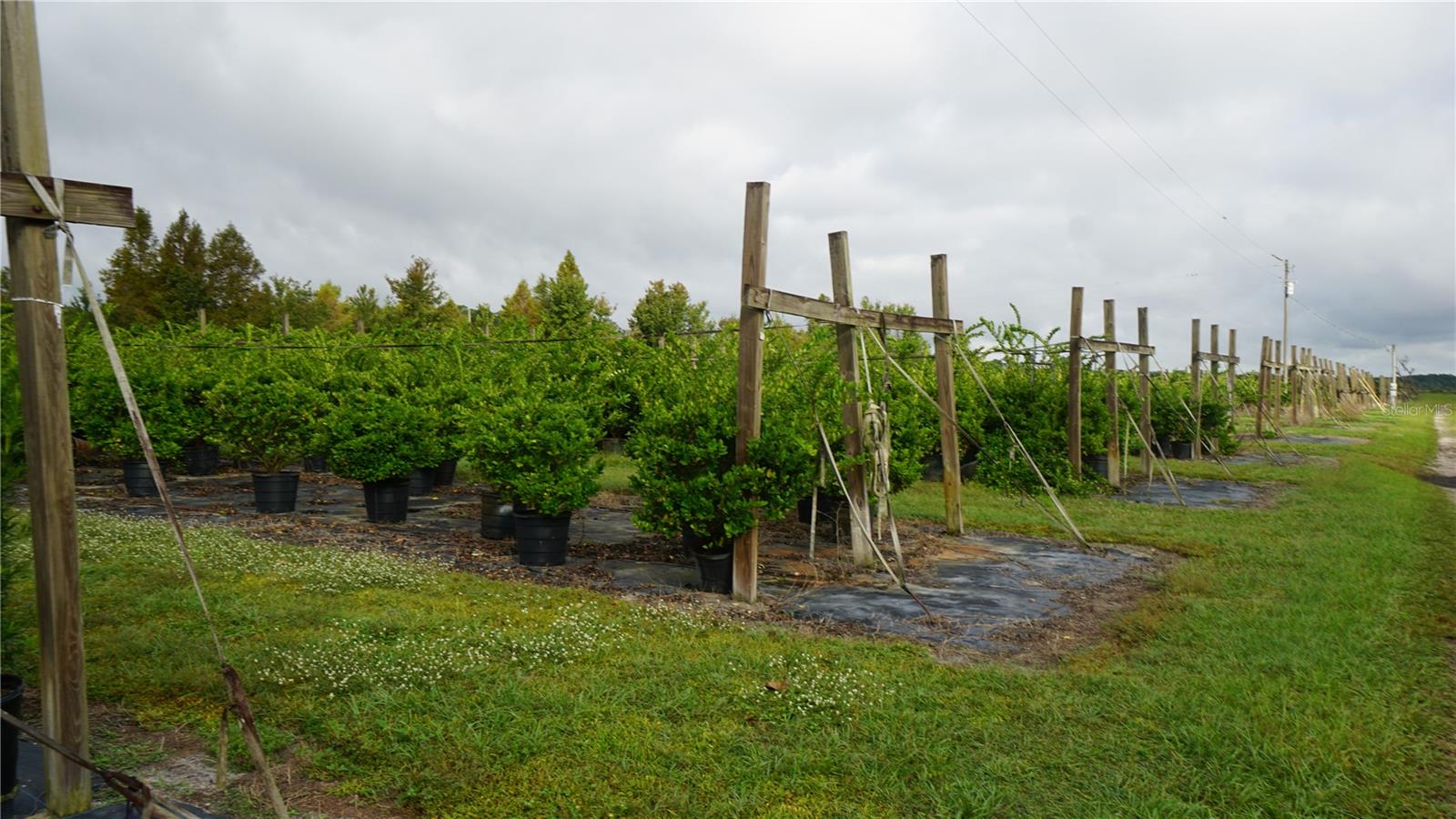 Image 7 of 20 For Douglas Road