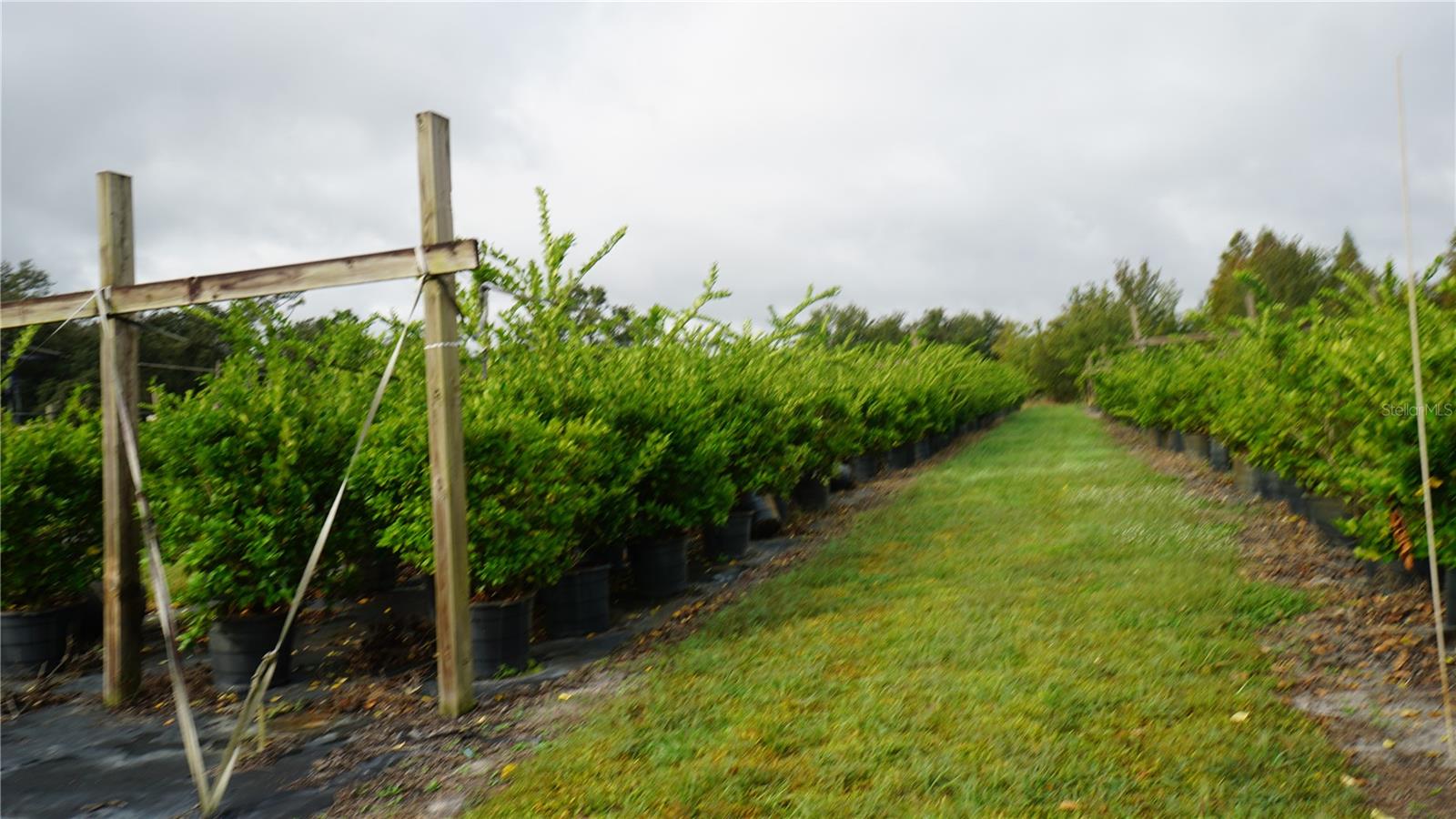 Image 8 of 20 For Douglas Road