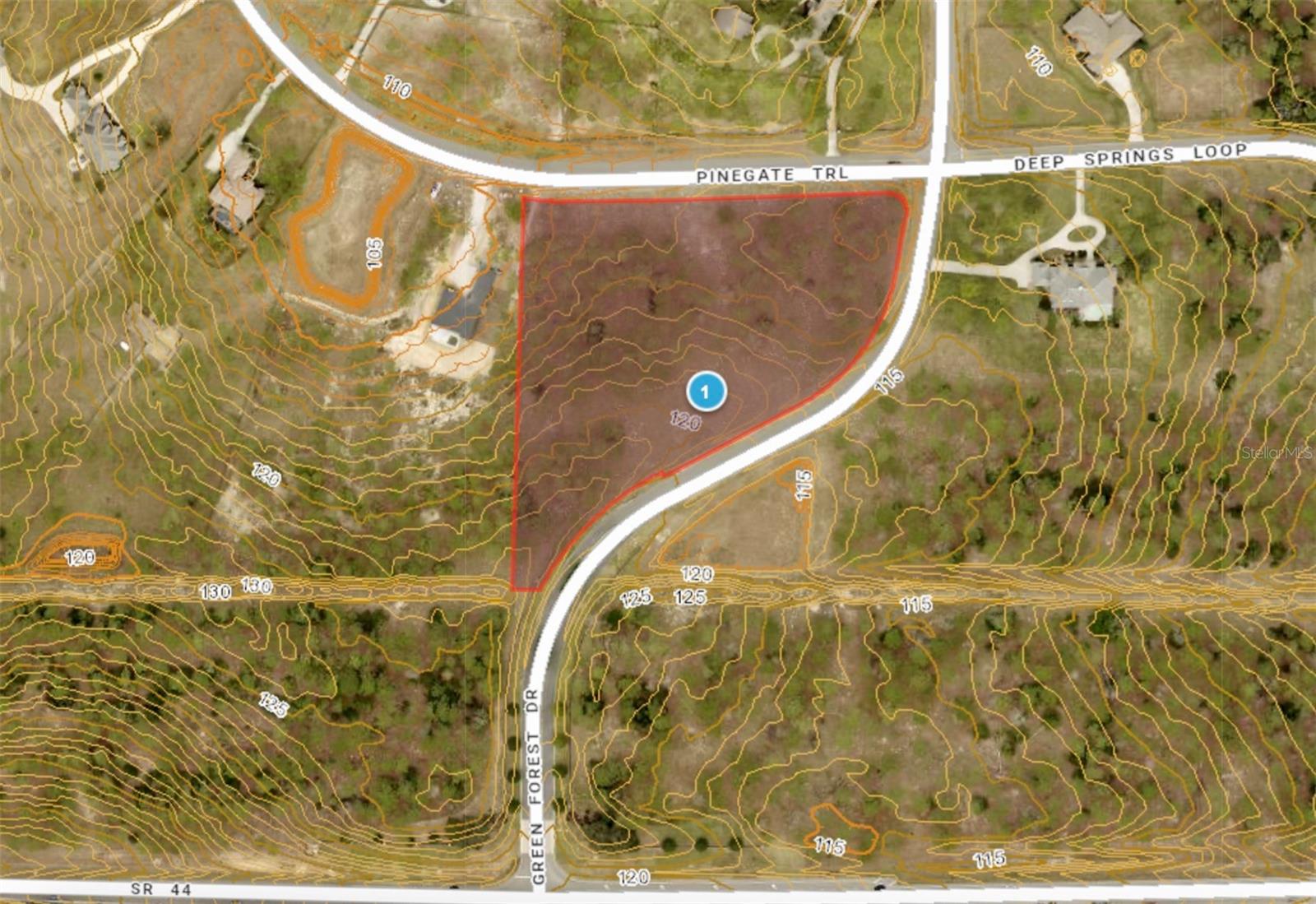 Image 14 of 23 For 35135 Pinegate Trail