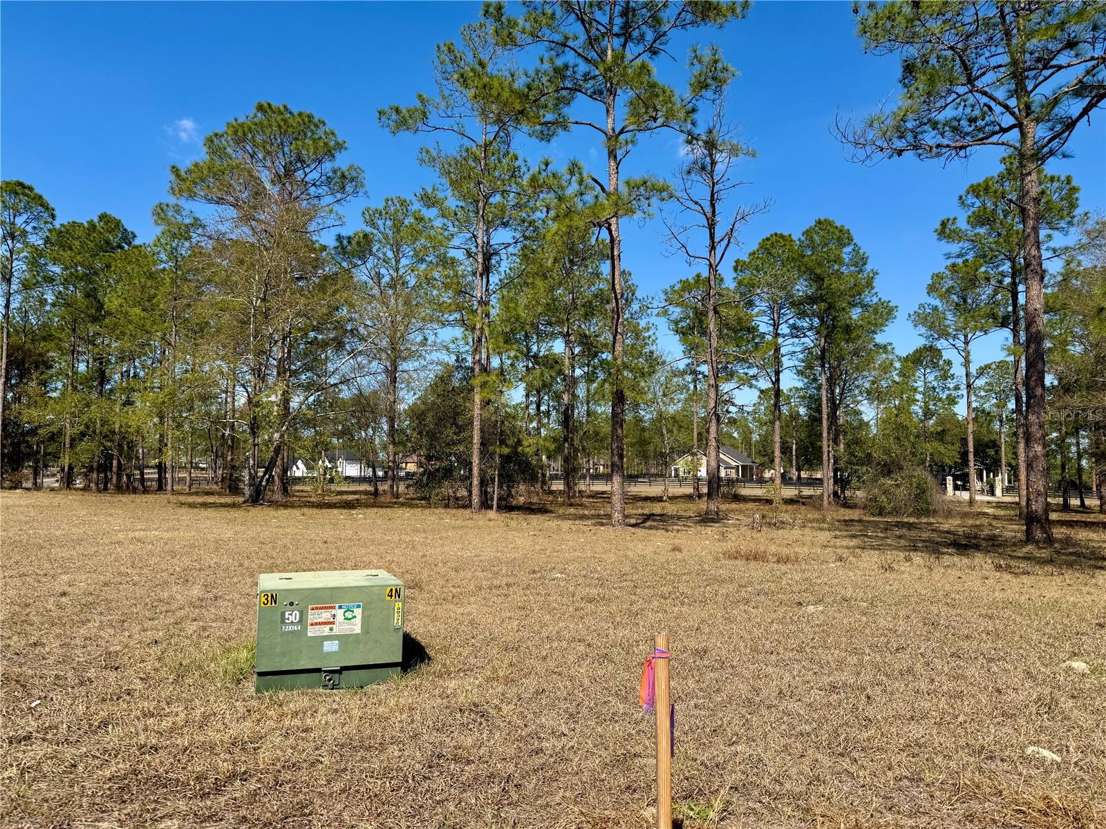 Image 18 of 23 For 35135 Pinegate Trail