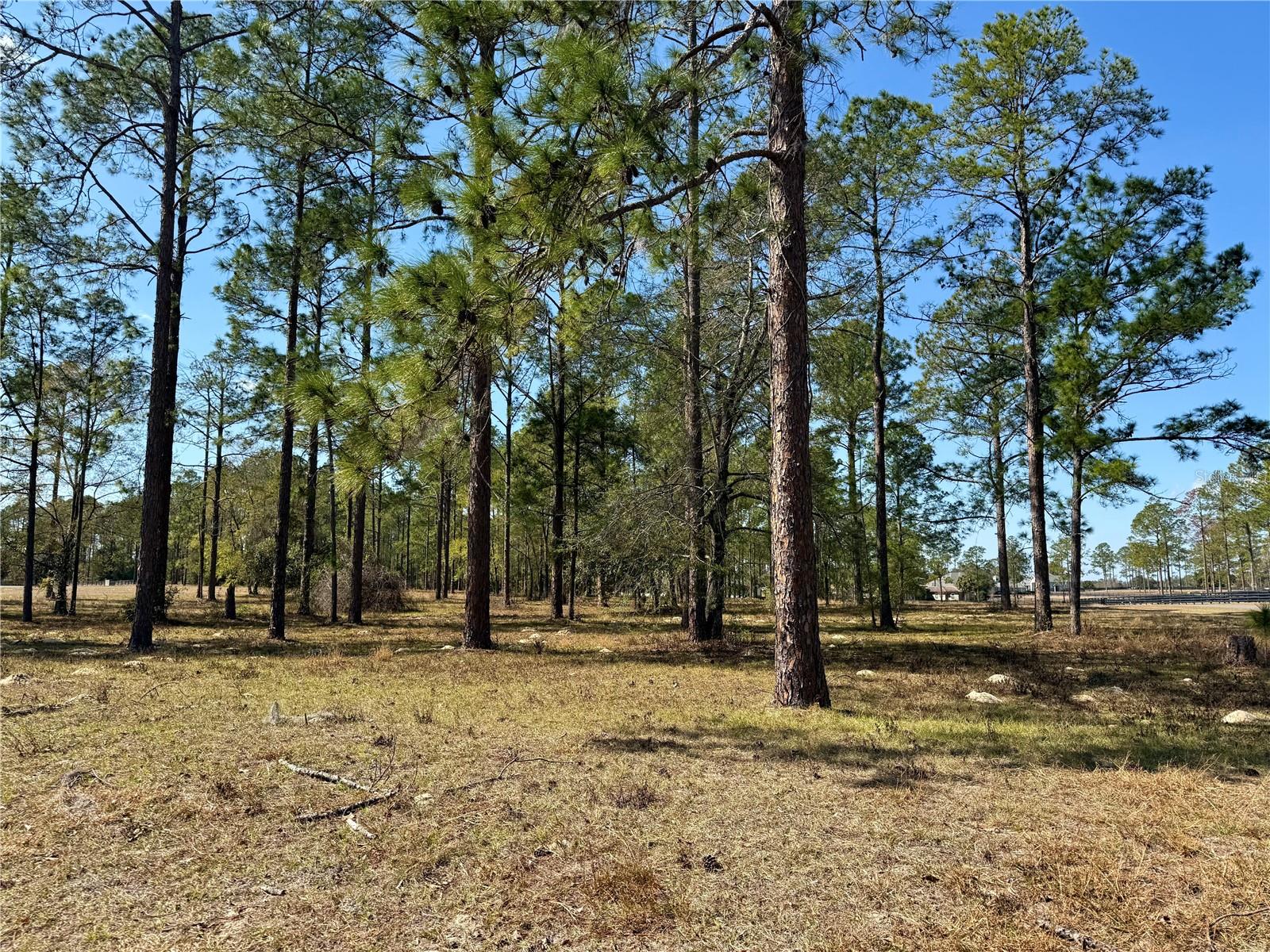 Image 19 of 23 For 35135 Pinegate Trail