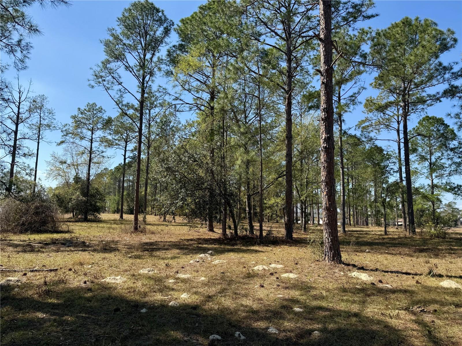 Image 22 of 23 For 35135 Pinegate Trail