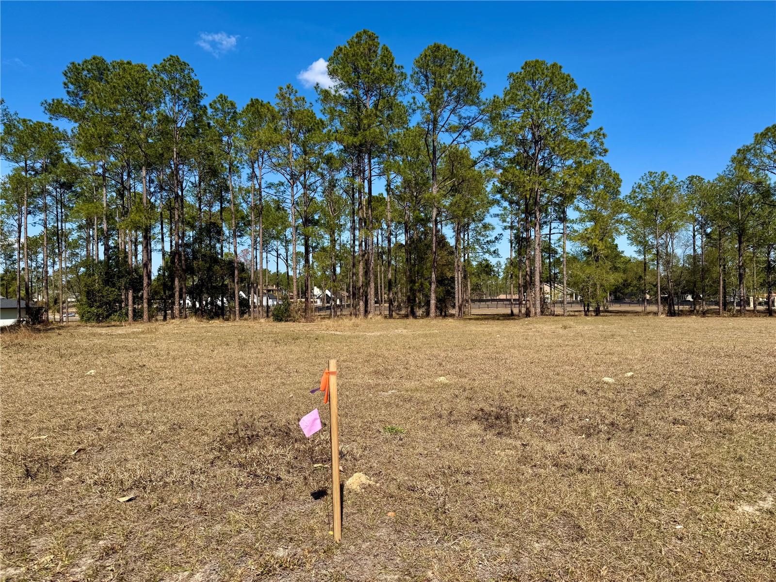 Image 5 of 23 For 35135 Pinegate Trail