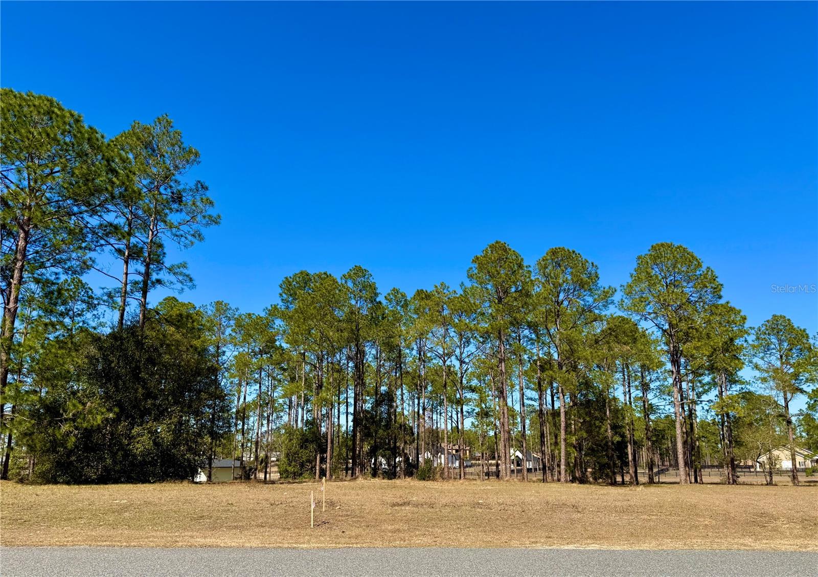 Image 7 of 23 For 35135 Pinegate Trail