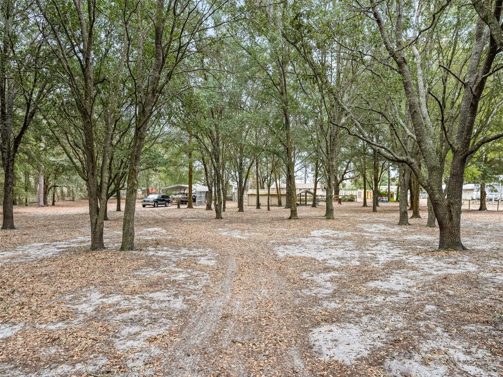 Image 32 of 38 For 1424 Us 301  