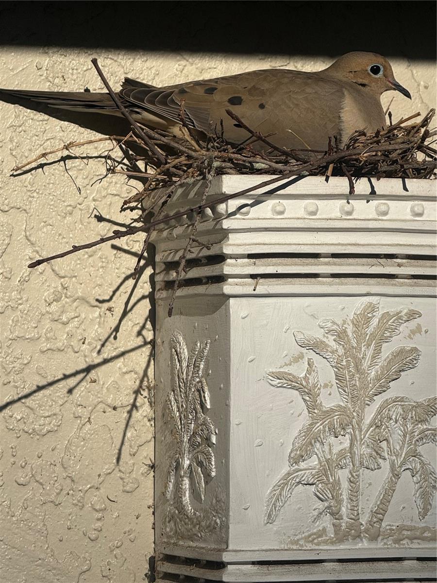 Image 18 of 18 For 8701 Village Green Boulevard