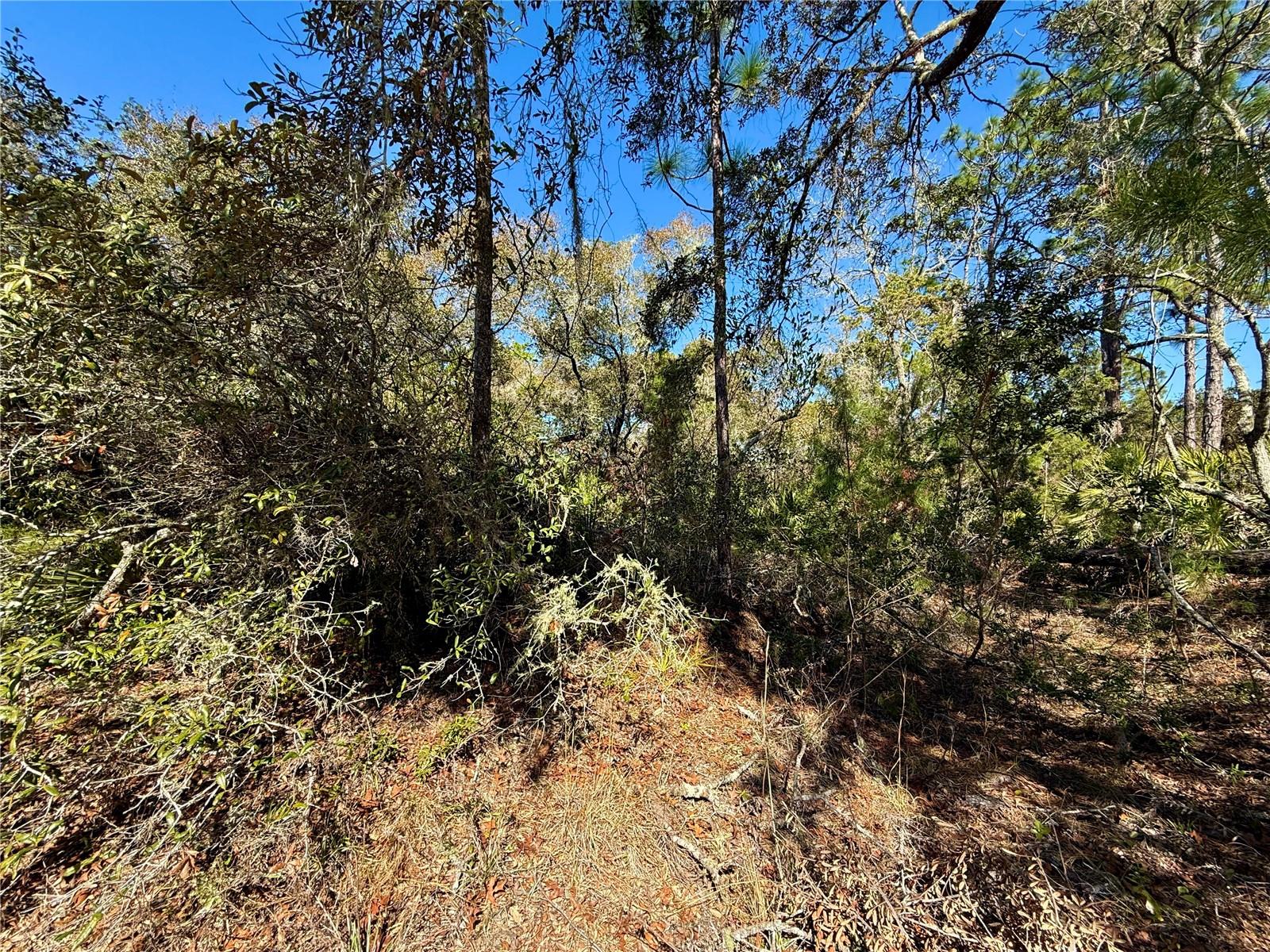 Image 10 of 22 For Lot 7 Shady Rose Court