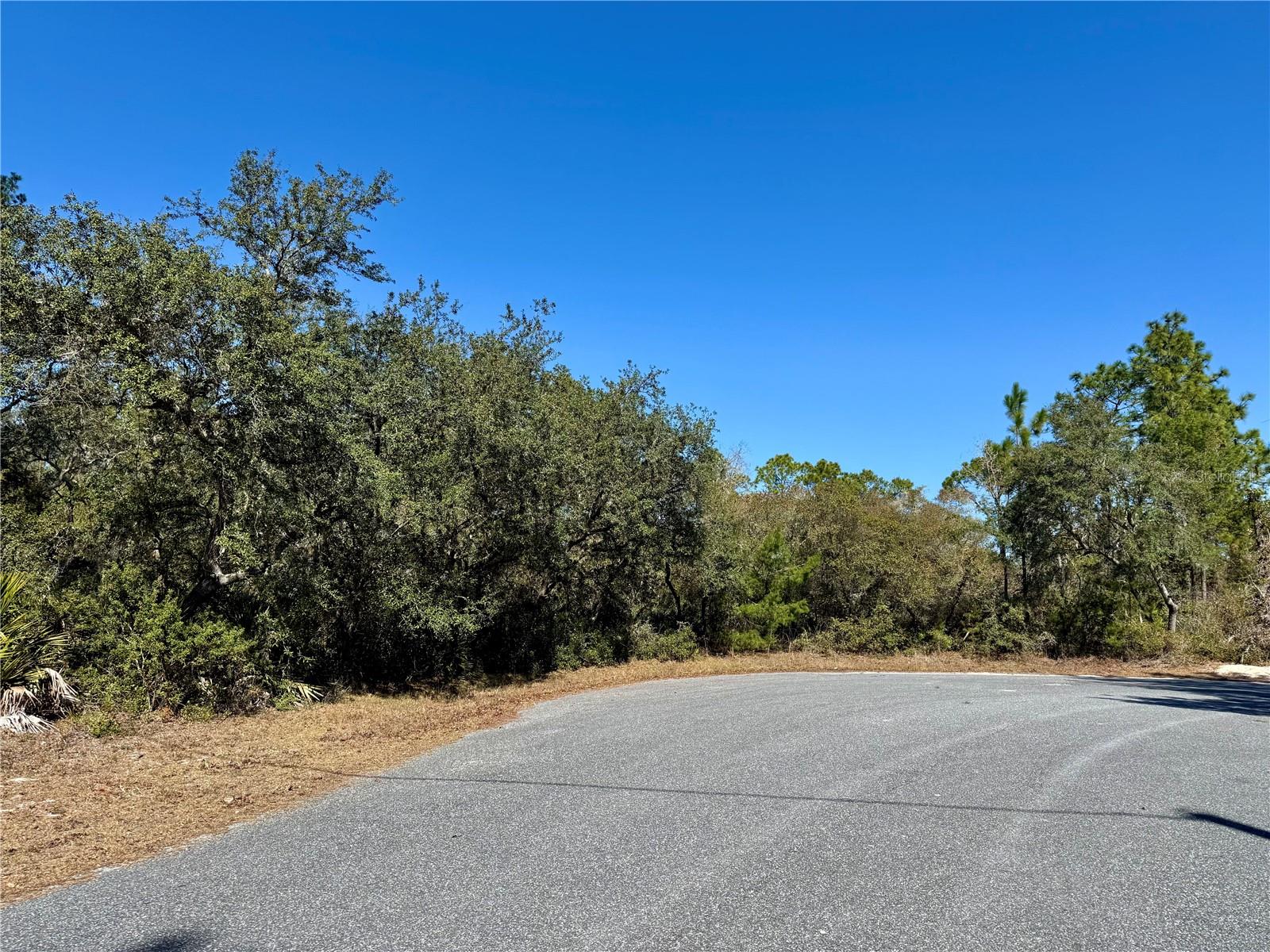 Image 4 of 22 For Lot 7 Shady Rose Court