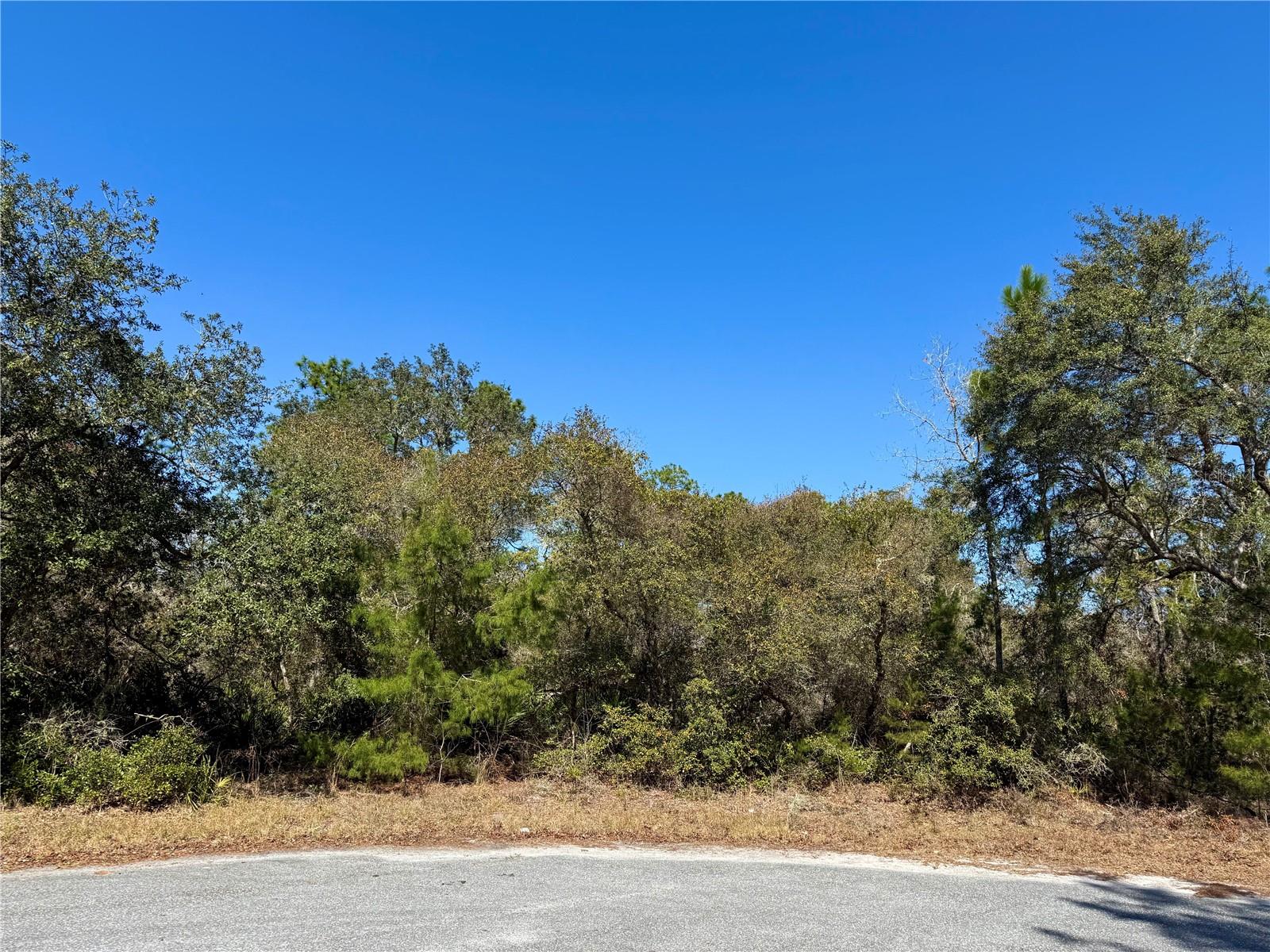 Image 5 of 22 For Lot 7 Shady Rose Court