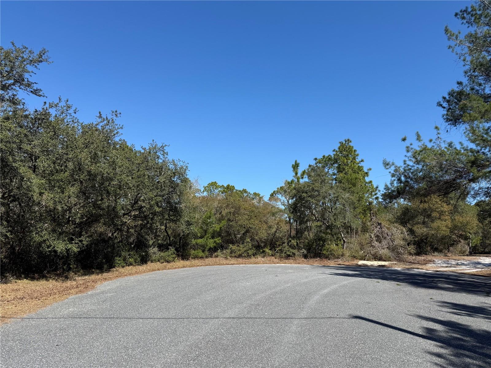 Image 6 of 22 For Lot 7 Shady Rose Court