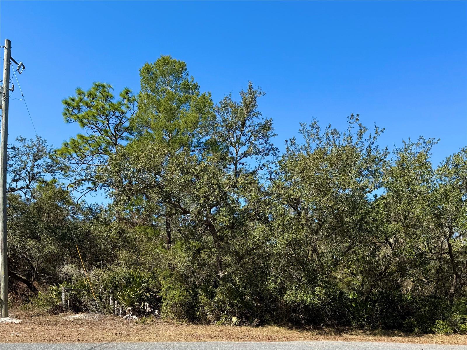 Image 7 of 22 For Lot 7 Shady Rose Court