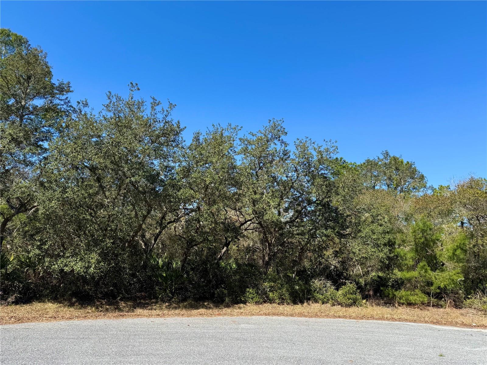 Image 8 of 22 For Lot 7 Shady Rose Court