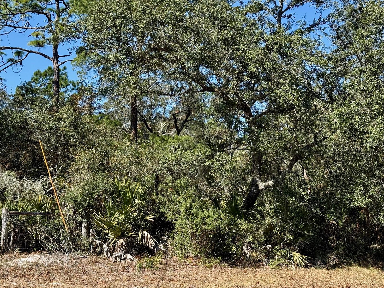 Image 9 of 22 For Lot 7 Shady Rose Court