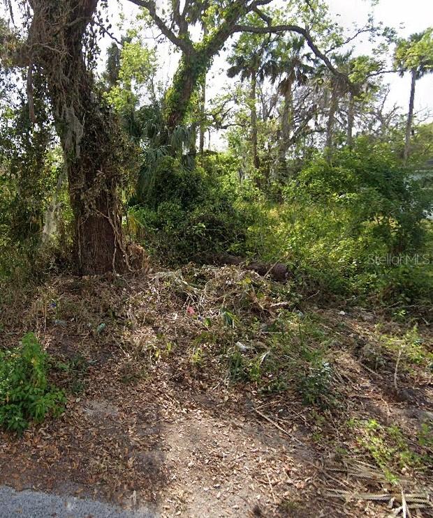 Details for 00 Division Street, DAYTONA BEACH, FL 32114