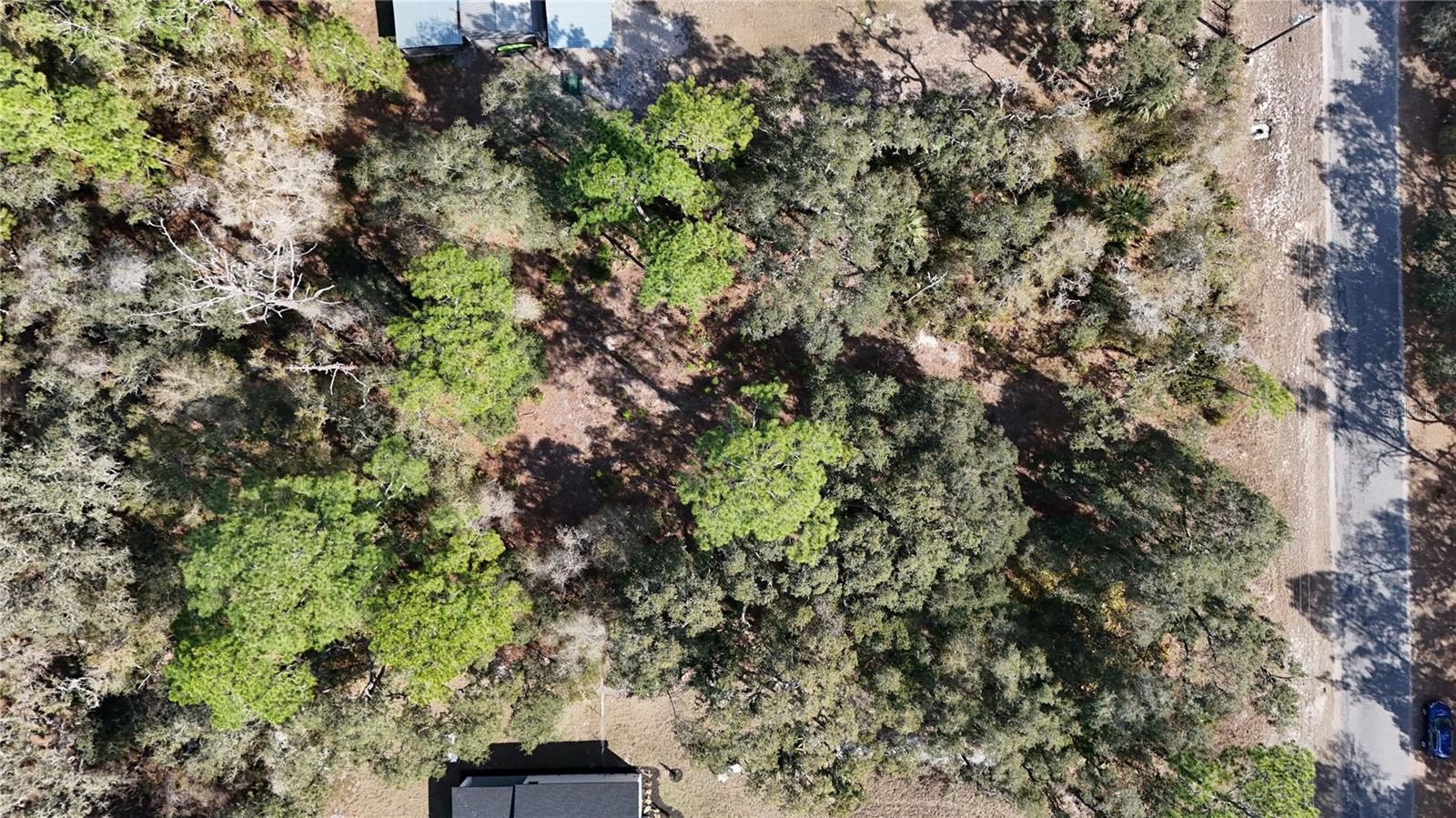 Details for 30553 Saffron Avenue, EUSTIS, FL 32736