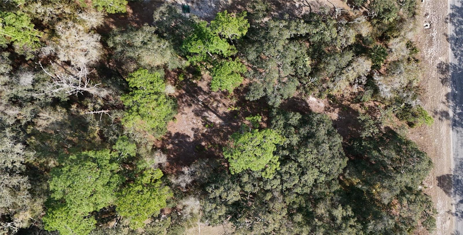 Image 5 of 5 For 30553 Saffron Avenue