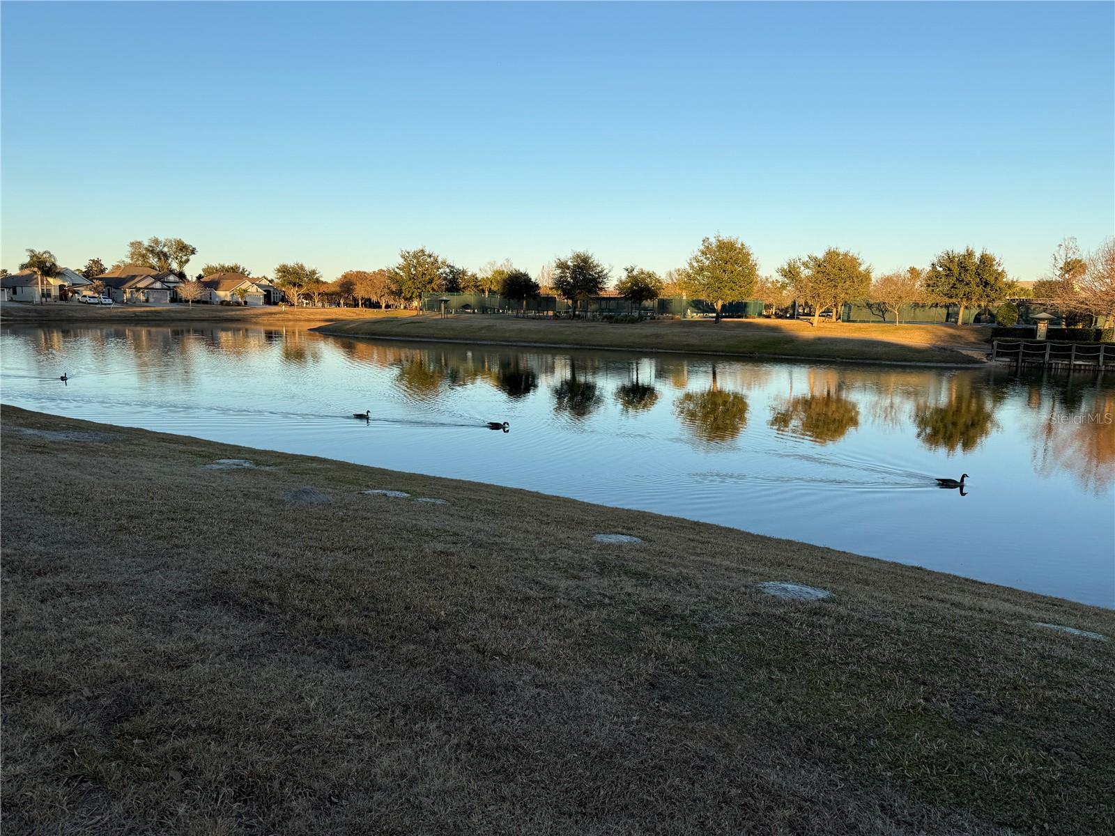 Image 33 of 40 For 8301 Bridgeport Bay Circle