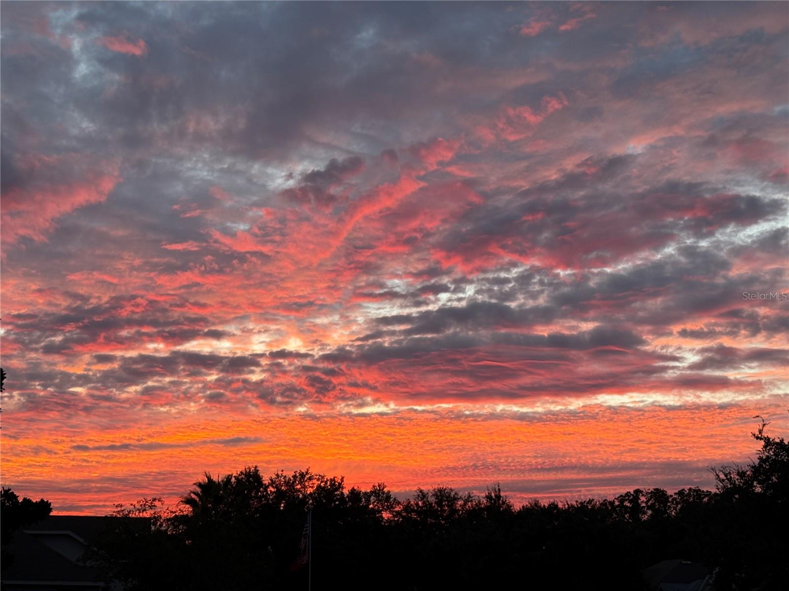 Image 36 of 40 For 8301 Bridgeport Bay Circle