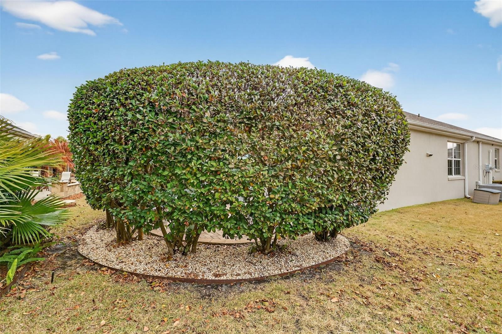 Image 42 of 45 For 3324 Queensway Terrace