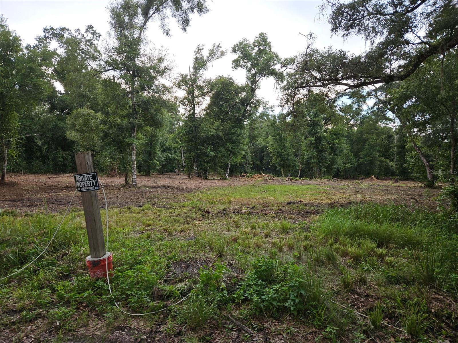 Details for  40th  , WEBSTER, FL 33597