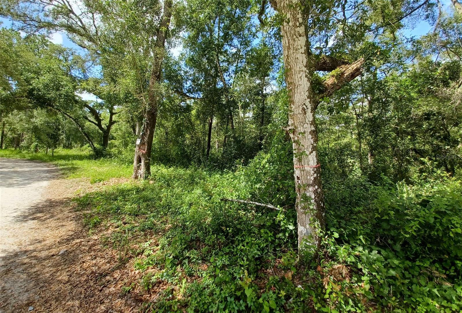 Image 2 of 5 For  40th  